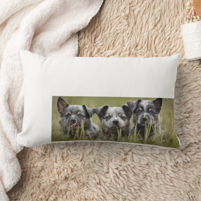 Coussin Rectangle Chien de bétail australien chiot Blue Heeler Thail (Couverture)