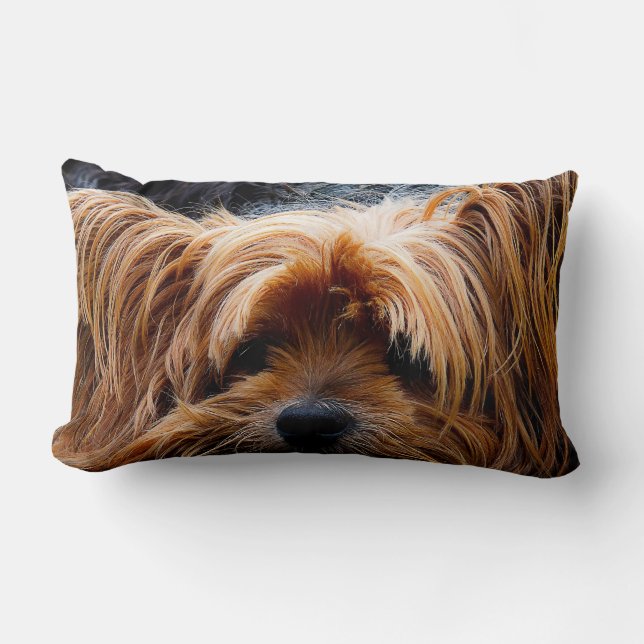 Coussin Rectangle Chien mignon de Yorkshire Terrier (Recto)