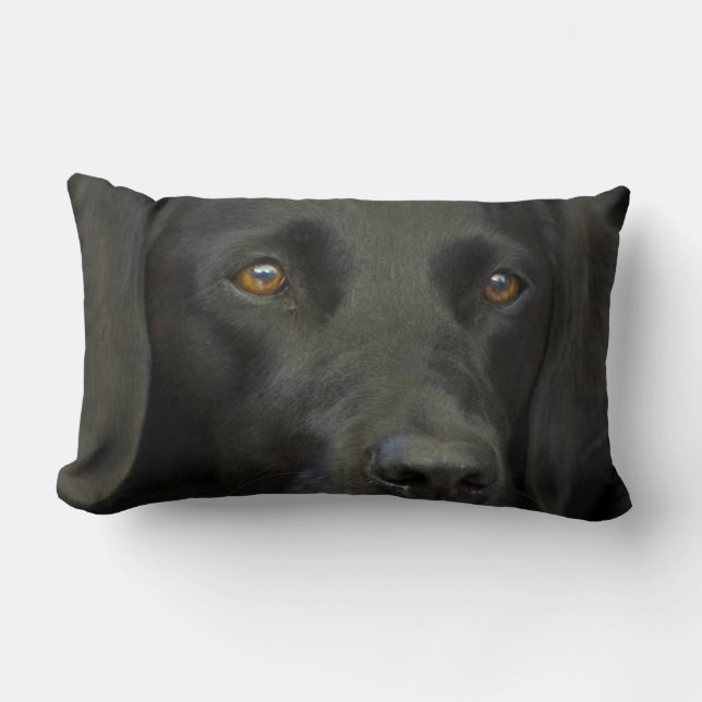 Coussin Rectangle Chien noir de Labrador (Recto)