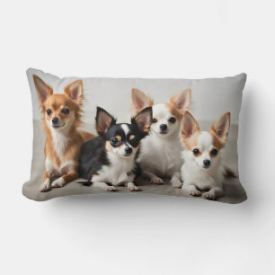 Coussin Rectangle Chihuahuas