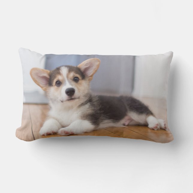 Coussin Rectangle Chiot de corgi de Gallois de Pembroke (Recto)