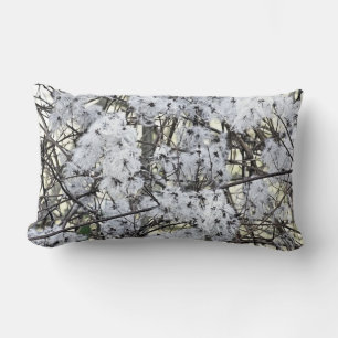 COUSSIN RECTANGLE CLEMATIS