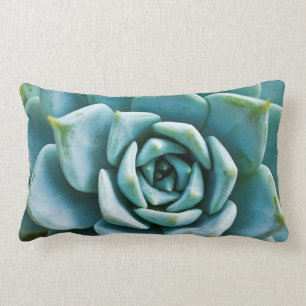 Coussin Rectangle Closeup Succulent