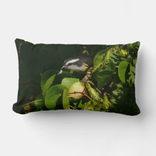 Coussin Rectangle Colibri à gorge blanche mangeant Photographie trop