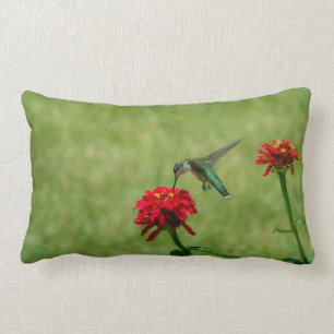 Coussin Rectangle Colibri et Zinnias rouges