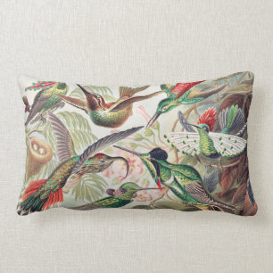 Coussin Rectangle Colibri, Trochilidae Kolibris par Ernst Haeckel