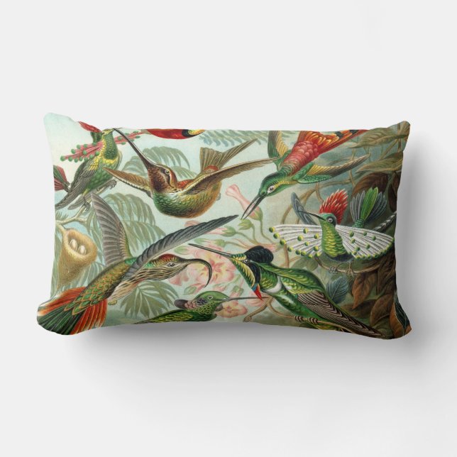 Coussin Rectangle Colibris (Recto)