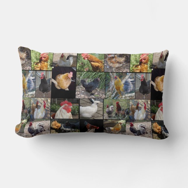 Coussin Rectangle Collage De Photos De Poulets Et De Coqs, (Recto)