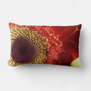 Coussin Rectangle Couleurs de Gerberas