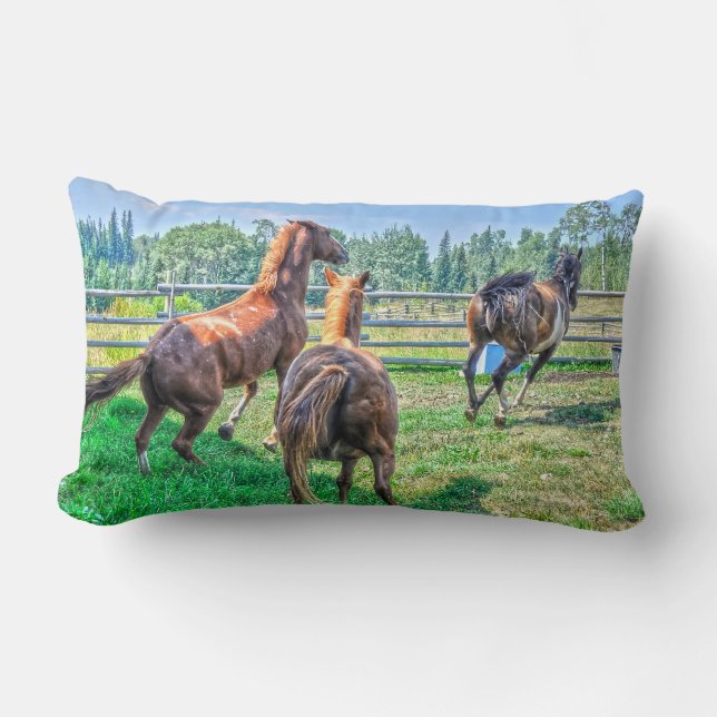 Coussin Rectangle Courir Pinto Peinture Gelding & Stallions châtaign (Recto)