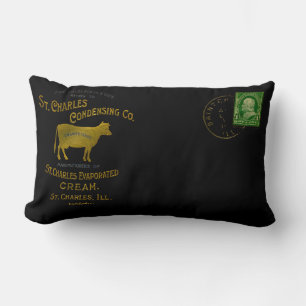 Coussin Rectangle CRÈME DE LAIT DE VACHE LAITIÈRE St Charles Illinoi