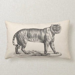 Coussin Rectangle Croquis de Brodtmann Tiger