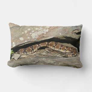 Coussin Rectangle Crotale dans le parc national de Shenandoah