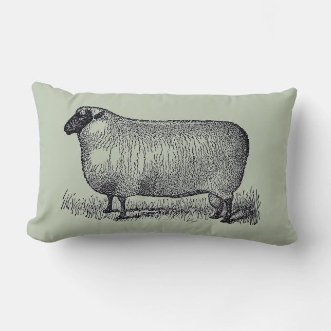 Coussin Rectangle Décor de maison de style de ferme d'illustration (Recto)