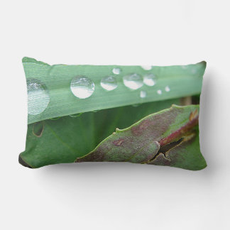 Coussin Rectangle Dekokissen goutte d'eau sur l'herbe