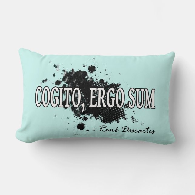 Coussin Rectangle Descartes (Recto)