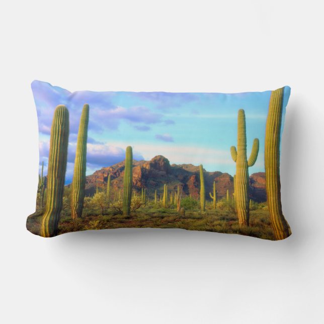 Coussin Rectangle Désert au printemps (Recto)
