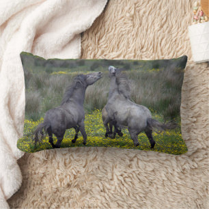 Coussin Rectangle Deux chevaux ruent et jouent