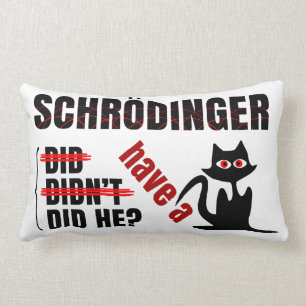 Coussin Rectangle Dillema de Schrodinger
