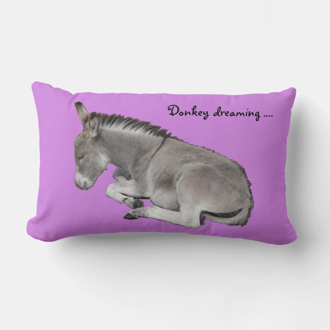 Coussin Rectangle Donkey rêver mignon poulain de bébé âne (Recto)