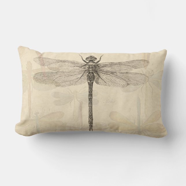 Coussin Rectangle Dragonfly Vintage Antique Classic Nature (Recto)