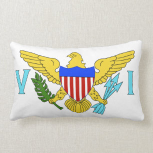 Coussin Rectangle Drapeau des Îles Vierges américaines