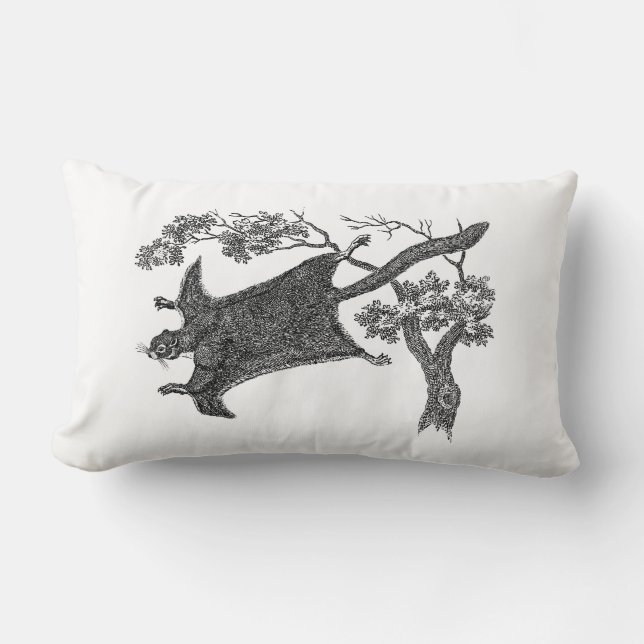 Coussin Rectangle Écureuil de vol vintage de 1800s - planeur de (Recto)