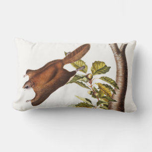 Coussin Rectangle Écureuil volant de l'Oregon (Pteromys Origonensis)