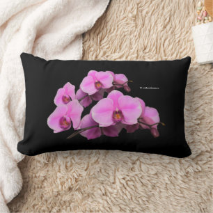 Coussin Rectangle Élégant orchidées roses Phalaenopsis sur noir