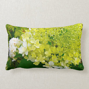 Coussin Rectangle Élégante Chartreuse Vert Limelight Hydrangea