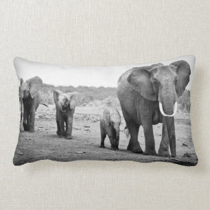 Coussin Rectangle Éléphant africain et veaux   Kenya, Afrique