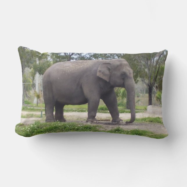 Coussin Rectangle Éléphant dans un bois calme s'étirant (Recto)