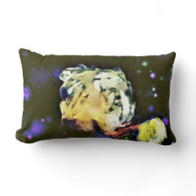 Envisionniste : Un voyage céleste