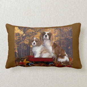 Coussin Rectangle Épagneul cavalier du Roi Charles