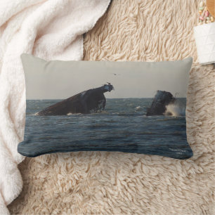 Coussin Rectangle Épave du navire en béton U.S.S. Atlantus, NJ  Orei