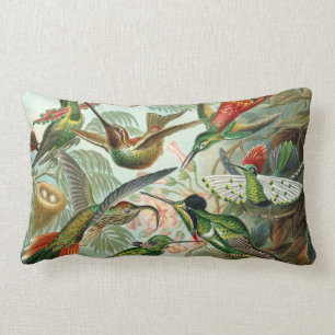 Coussin Rectangle Ernst Haeckel Hummingbirds - Art Formes de la natu