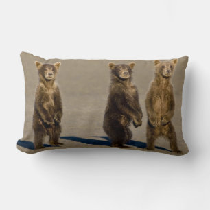 Coussin Rectangle États-Unis. Alaska. Oursons brun côtier