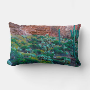 Coussin Rectangle États-Unis, Arizona. Flore du désert