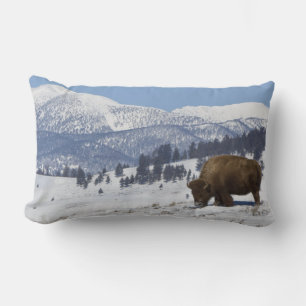Coussin Rectangle États-Unis, WY, Parc national de Yellowstone, Biso