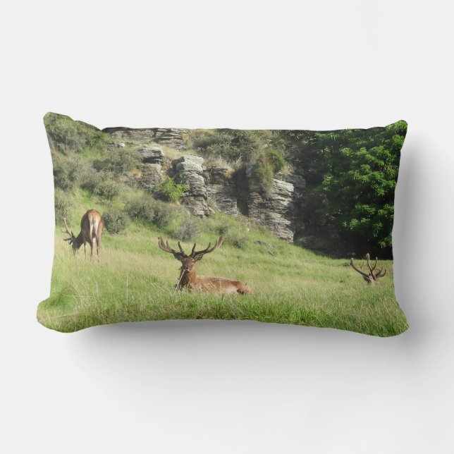 Coussin Rectangle Étiquettes de la Nouvelle-Zélande (Recto)