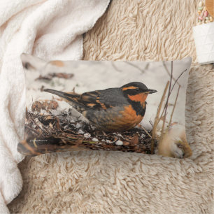 Coussin Rectangle Étonnant oiseau-chanteur à la grive variée dans la