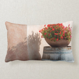 Coussin Rectangle Europe, Italie, Toscane. Pot de fleurs
