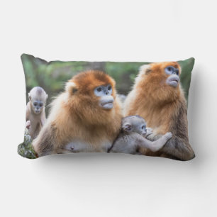 Coussin Rectangle Famille de singes à nez retroussé dorés