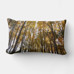 Coussin Rectangle Feuilles d'automne dans le matin Maryland Nature