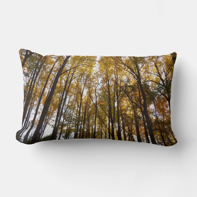 Coussin Rectangle Feuilles d'automne dans le matin Maryland Nature (Recto)