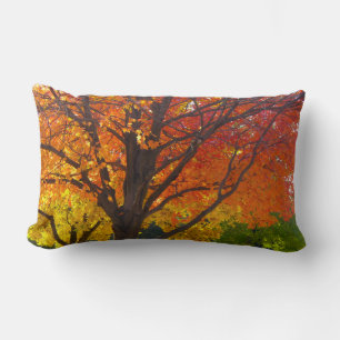 Coussin Rectangle Feuilles d'automne de la photo jaune et orange
