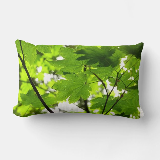 Coussin Rectangle Feuilles d'érable avec Raindrops (Recto)