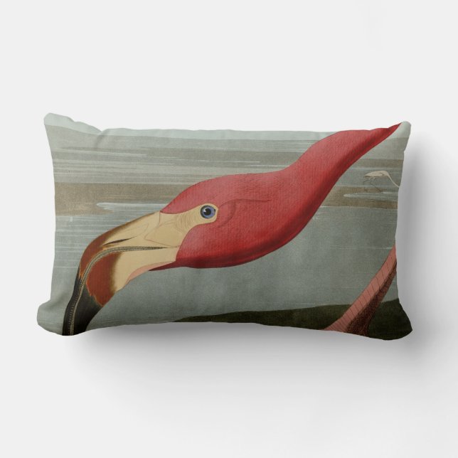 Coussin Rectangle Flamant rose américain (Recto)