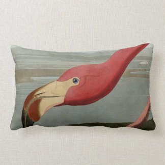 Coussin Rectangle Flamant rose américain