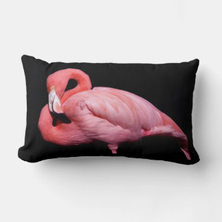 Coussin Rectangle Flamant rose rose sur noir